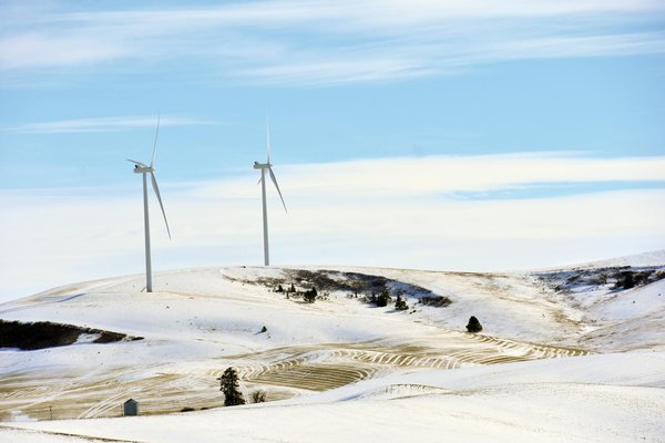 Comment les biocarburants peuvent-ils remplacer les combustibles fossiles?