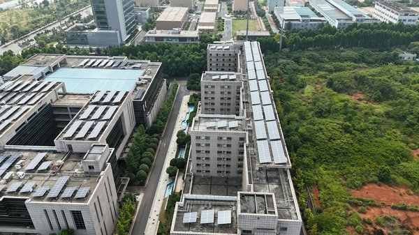 Les avantages des énergies renouvelables pour un avenir durable